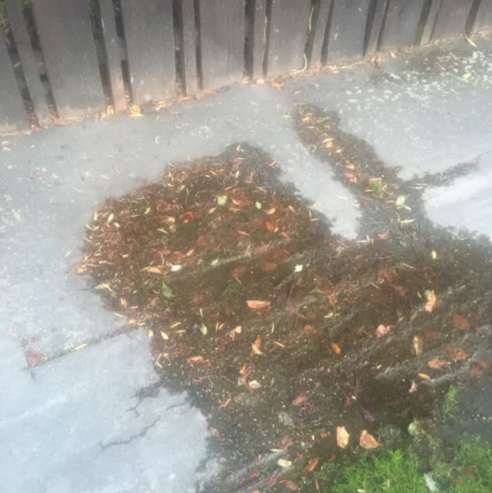 The photograph attached to this water supply report