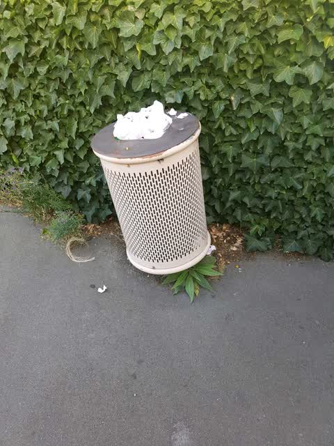 Rubbish/Recycling, a report photo