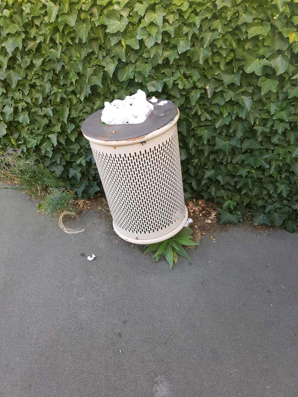 The photograph attached to this rubbish/recycling report