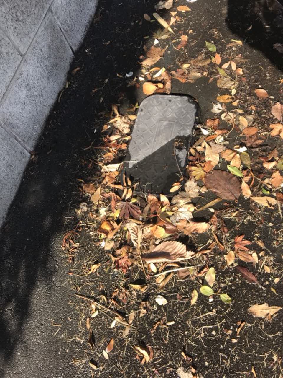 The photograph attached to this water supply report