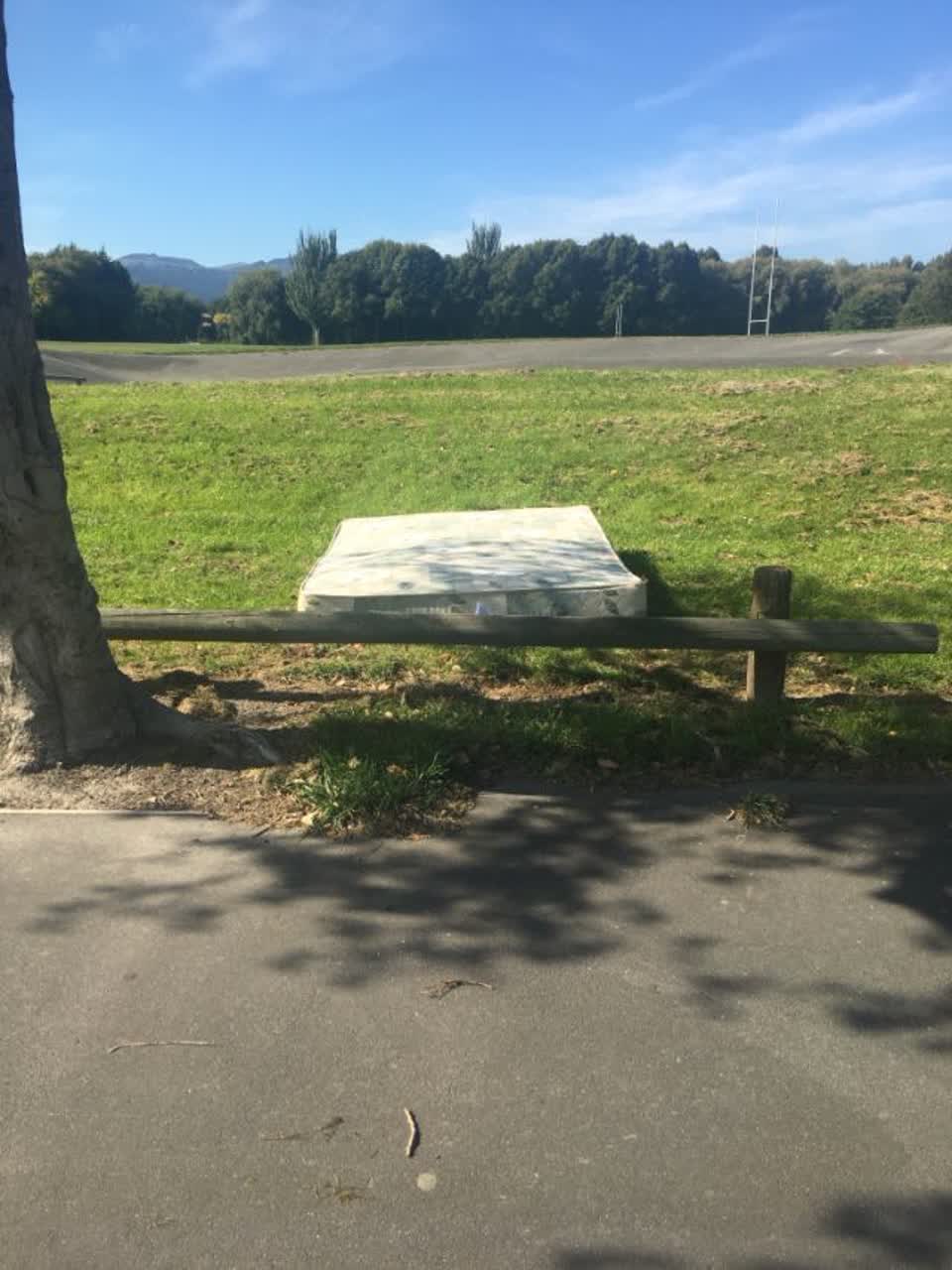 The photograph attached to this parks report