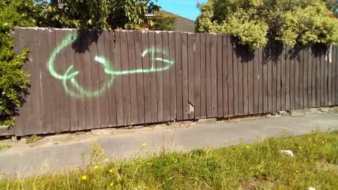 Graffiti, a report photo