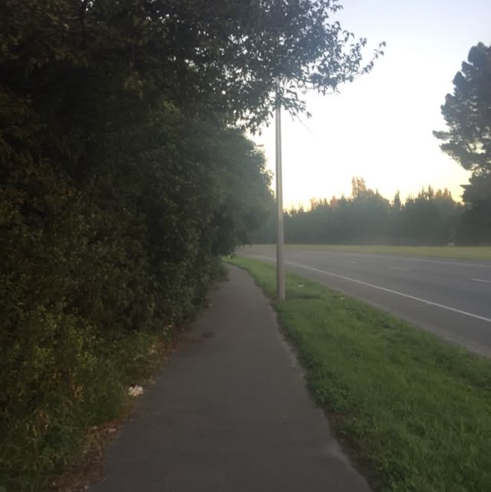 The photograph attached to this parks report