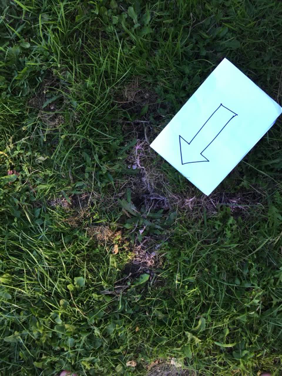 The photograph attached to this wastewater/stormwater report