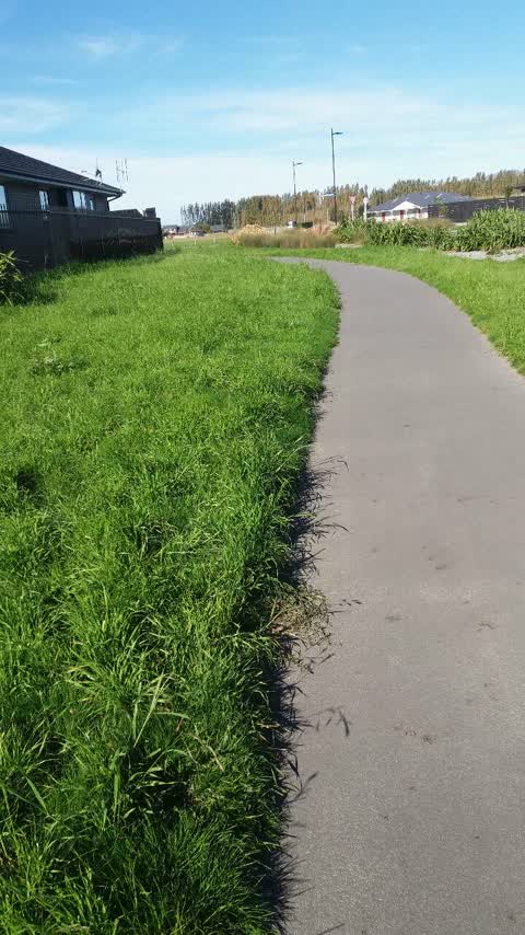 Parks, a report photo