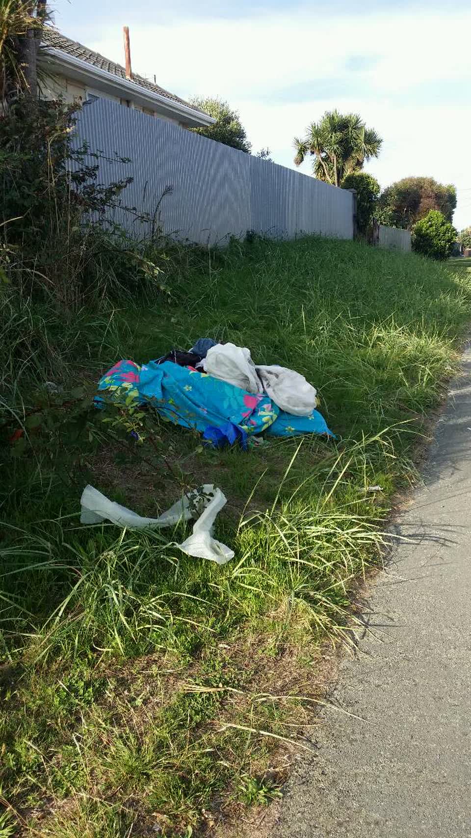 The photograph attached to this rubbish/recycling report