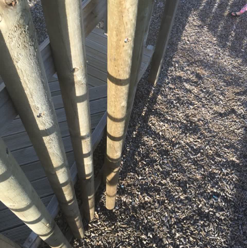 The photograph attached to this parks report
