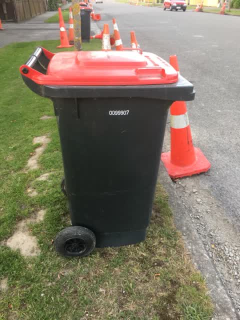 Rubbish/Recycling, a report photo