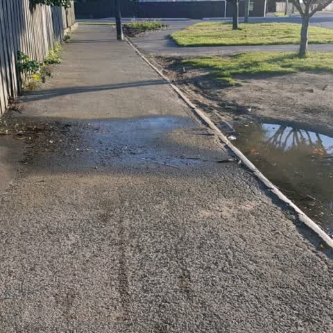 Water Supply, a report photo