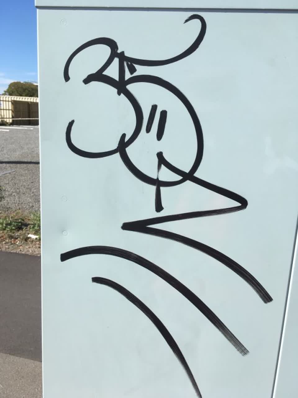 The photograph attached to this graffiti report