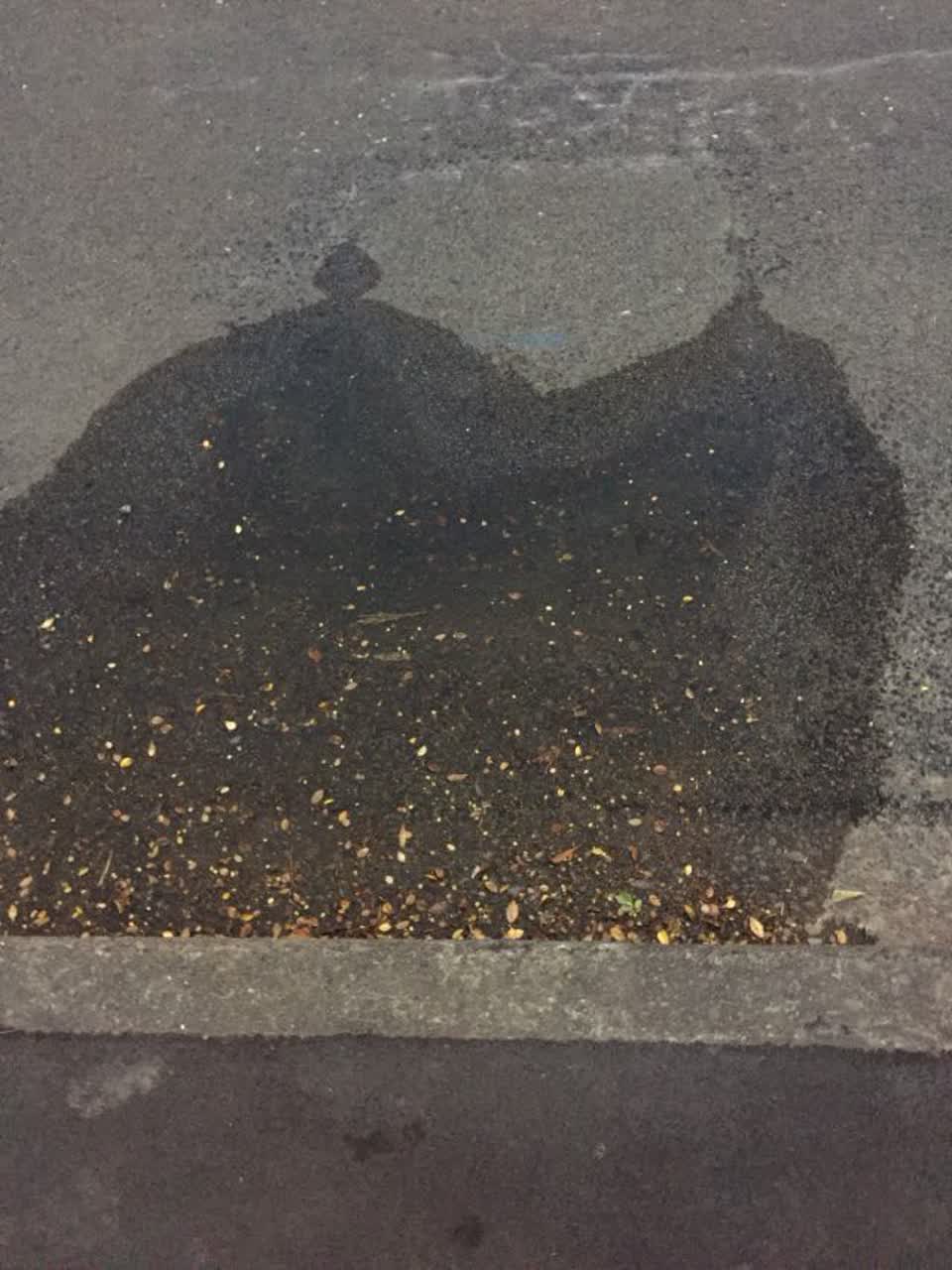 The photograph attached to this water supply report