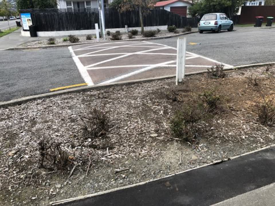 The photograph attached to this parks report