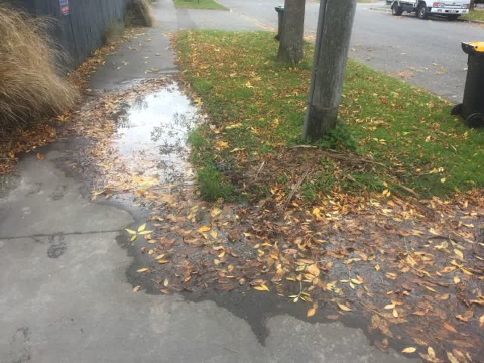 The photograph attached to this water supply report