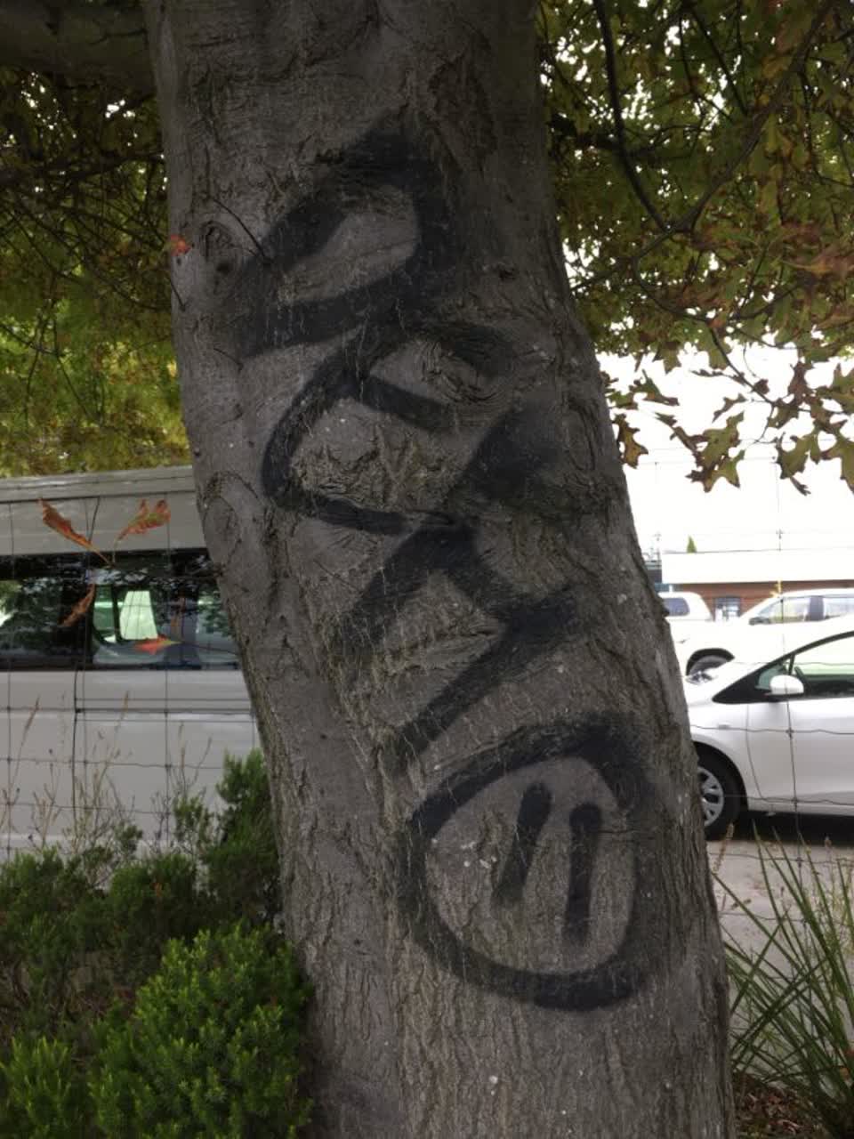 The photograph attached to this graffiti report