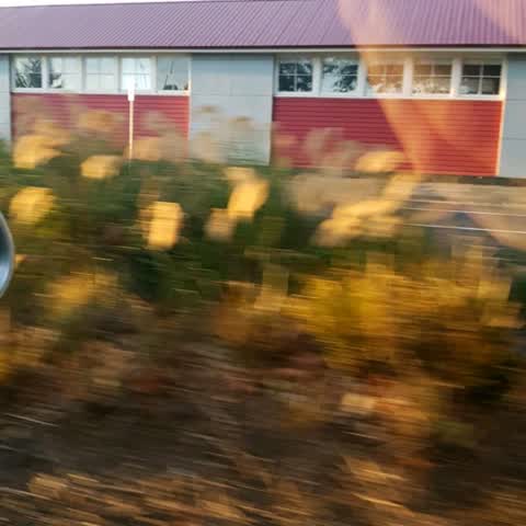 Roading/Streets, a report photo