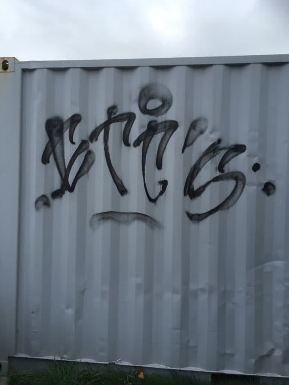 The photograph attached to this graffiti report