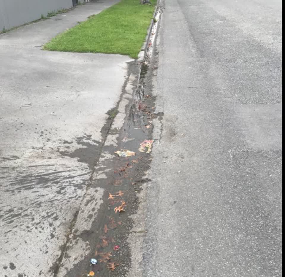 The photograph attached to this wastewater/stormwater report