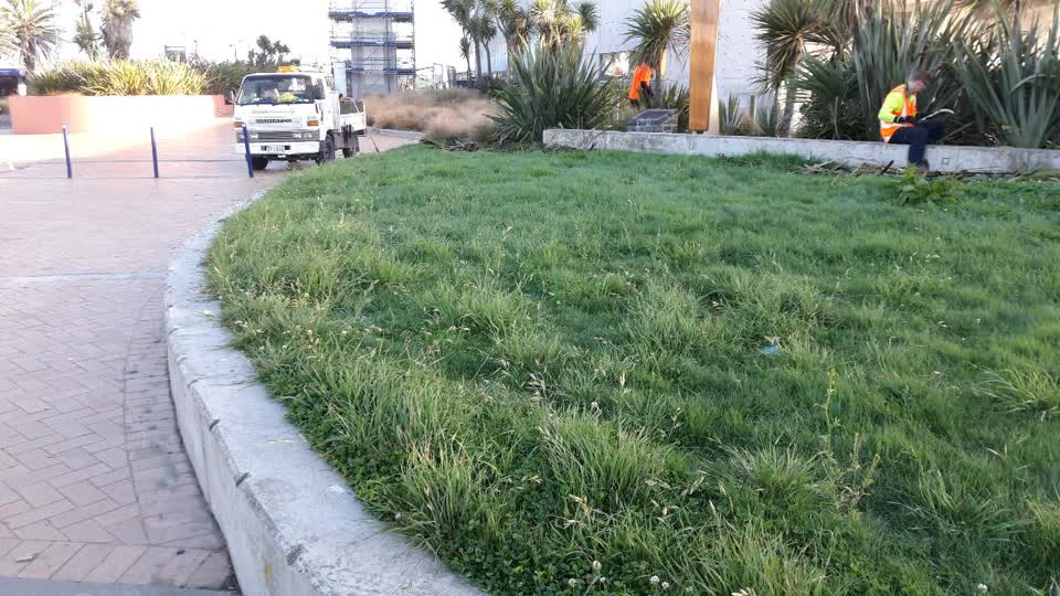 The photograph attached to this parks report