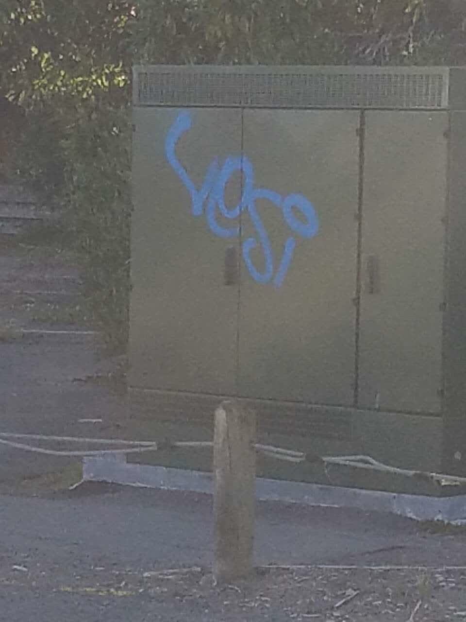 The photograph attached to this graffiti report