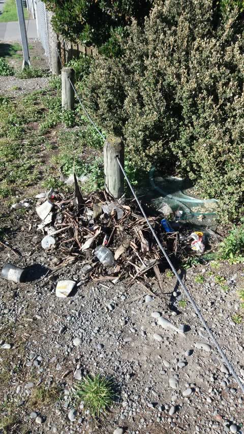 Rubbish/Recycling, a report photo