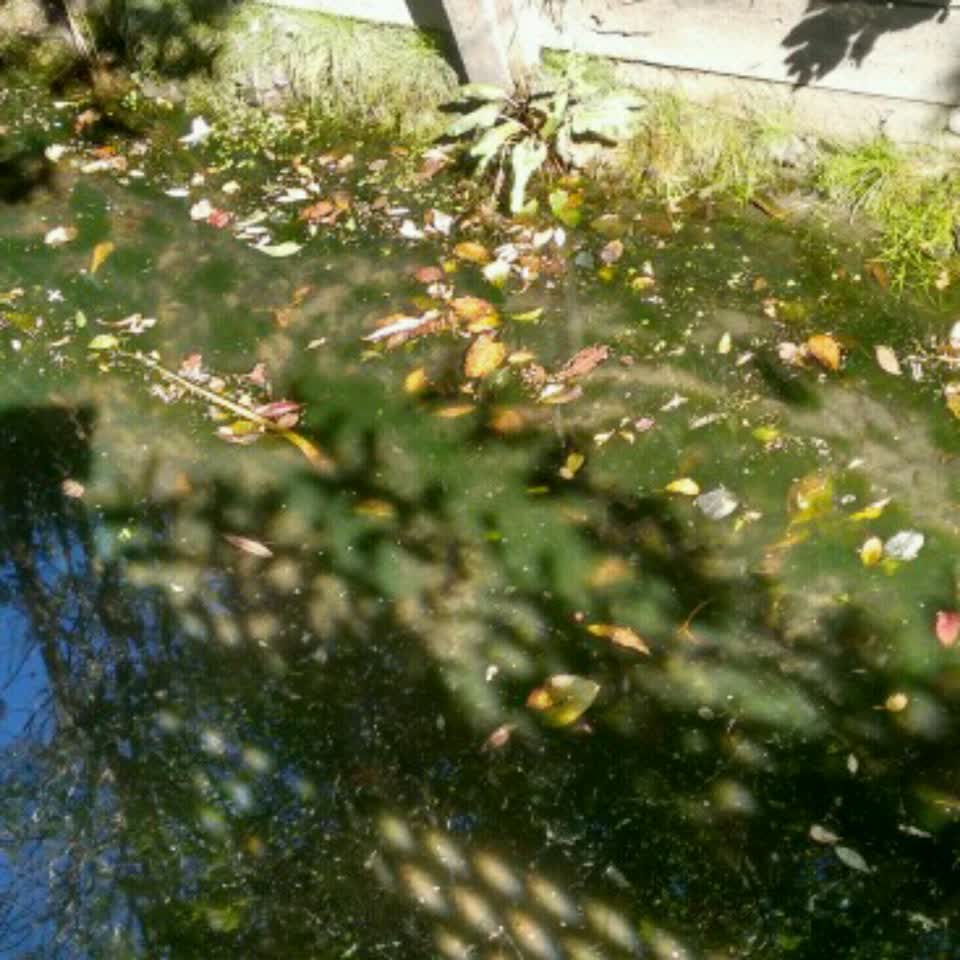 The photograph attached to this wastewater/stormwater report
