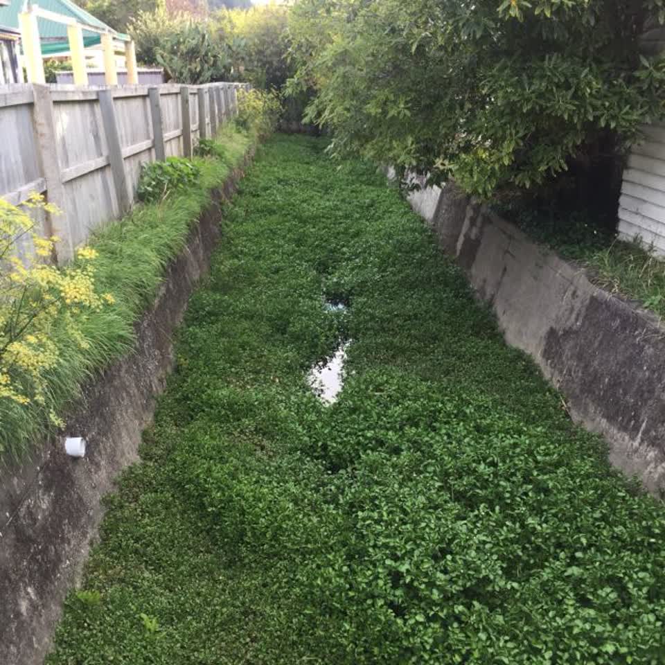 The photograph attached to this wastewater/stormwater report