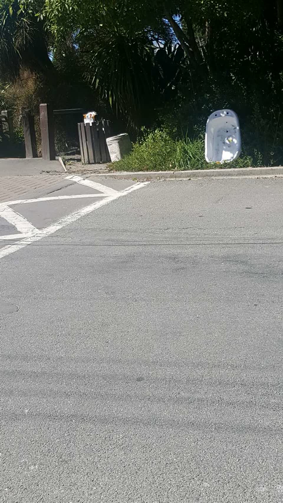 The photograph attached to this rubbish/recycling report