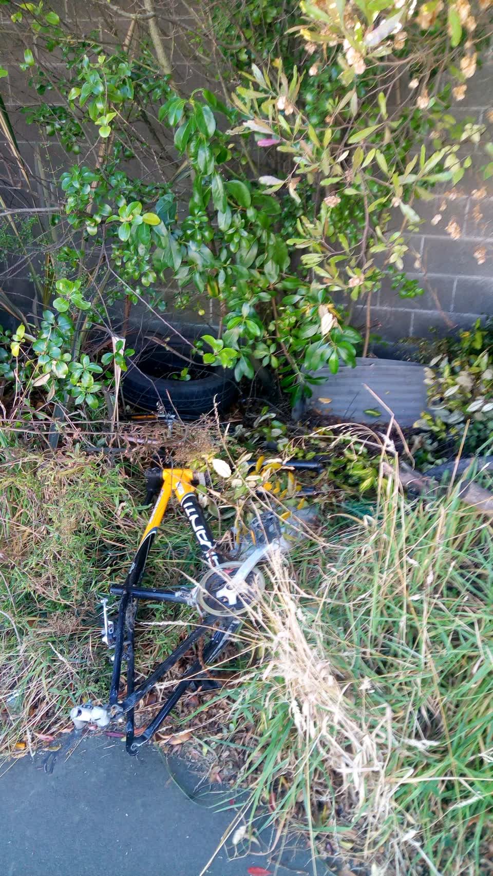 The photograph attached to this rubbish/recycling report
