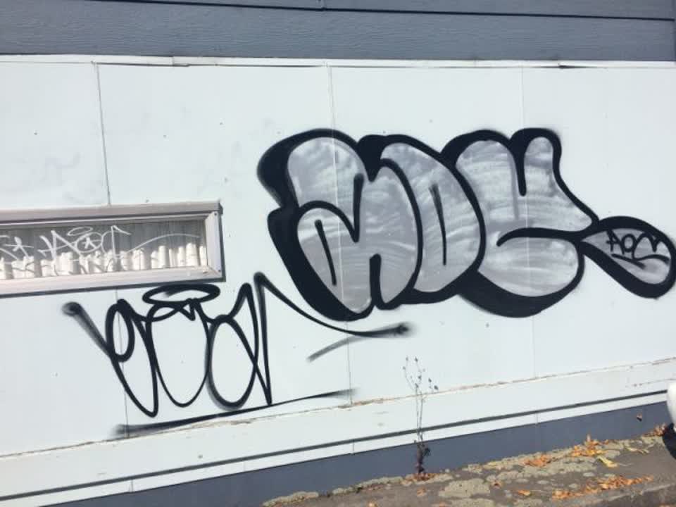 The photograph attached to this graffiti report