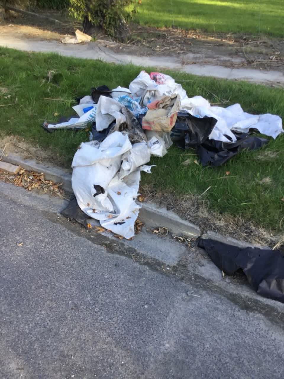 The photograph attached to this rubbish/recycling report