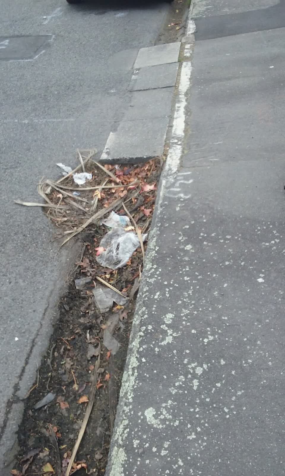 The photograph attached to this wastewater/stormwater report