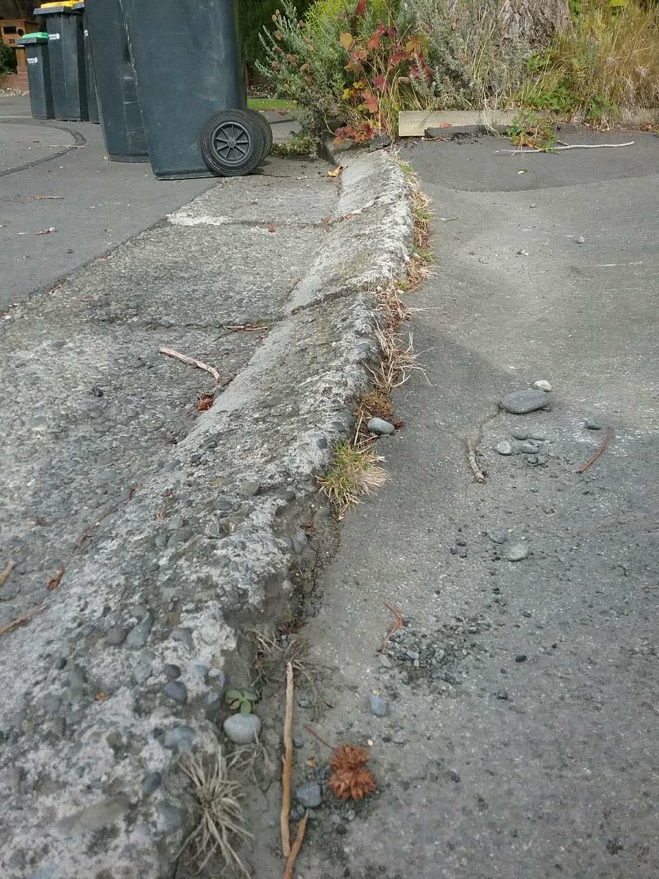 The photograph attached to this roading/streets report