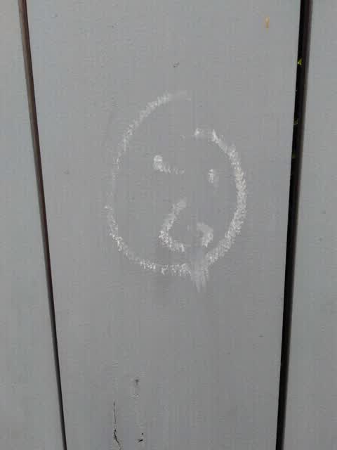 Graffiti, a report photo