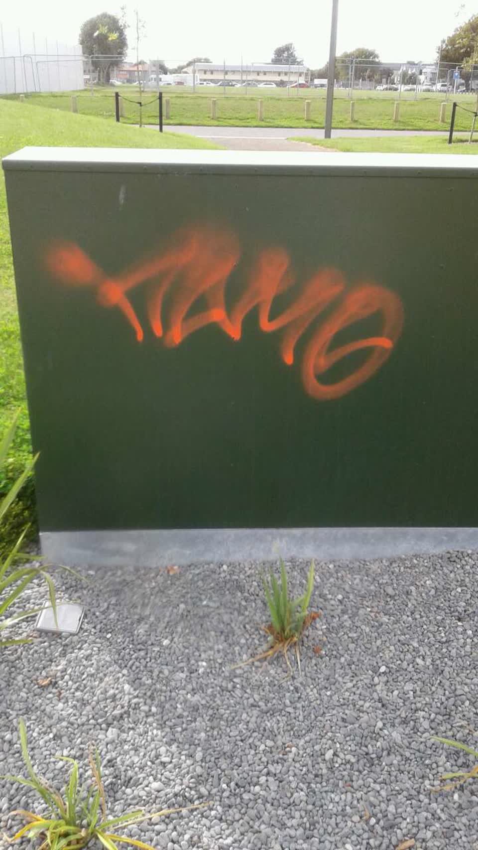The photograph attached to this graffiti report