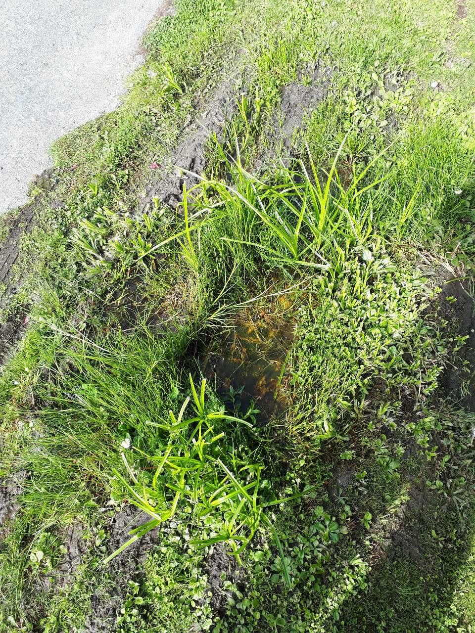 The photograph attached to this water supply report