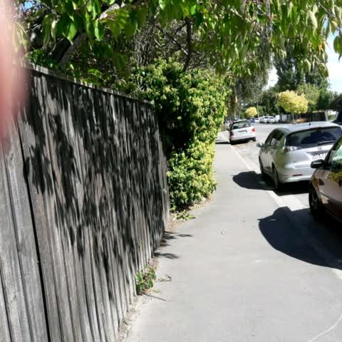 Roading/Streets, a report photo