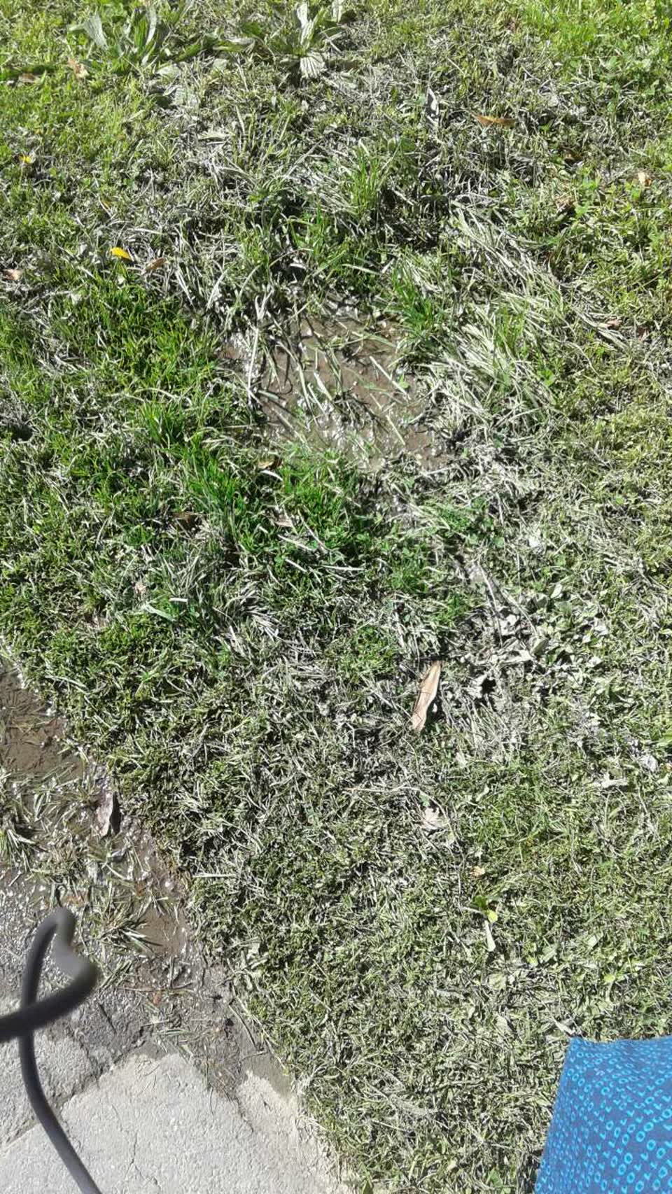 The photograph attached to this water supply report