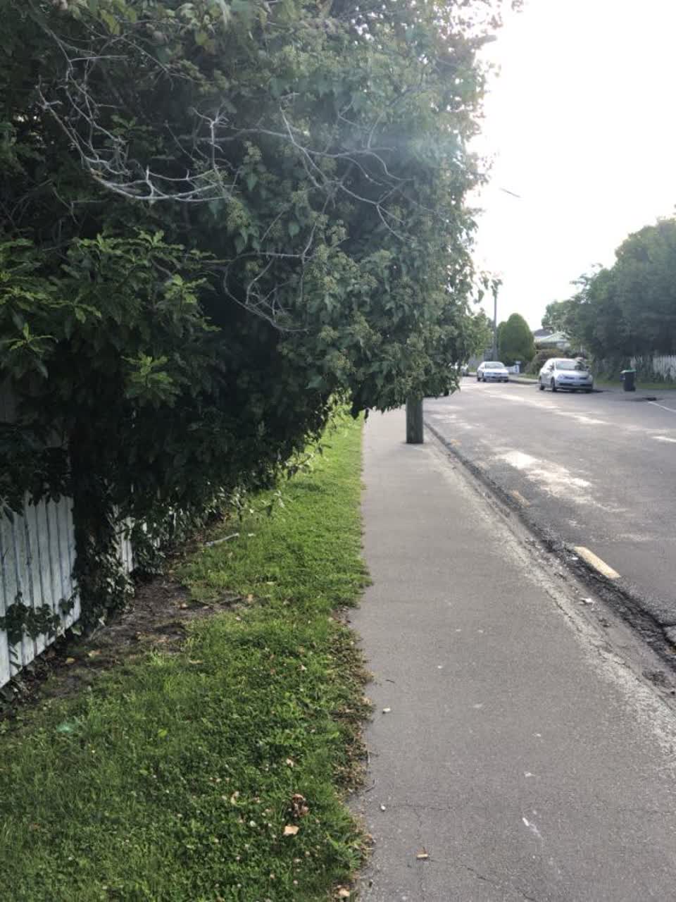 The photograph attached to this roading/streets report