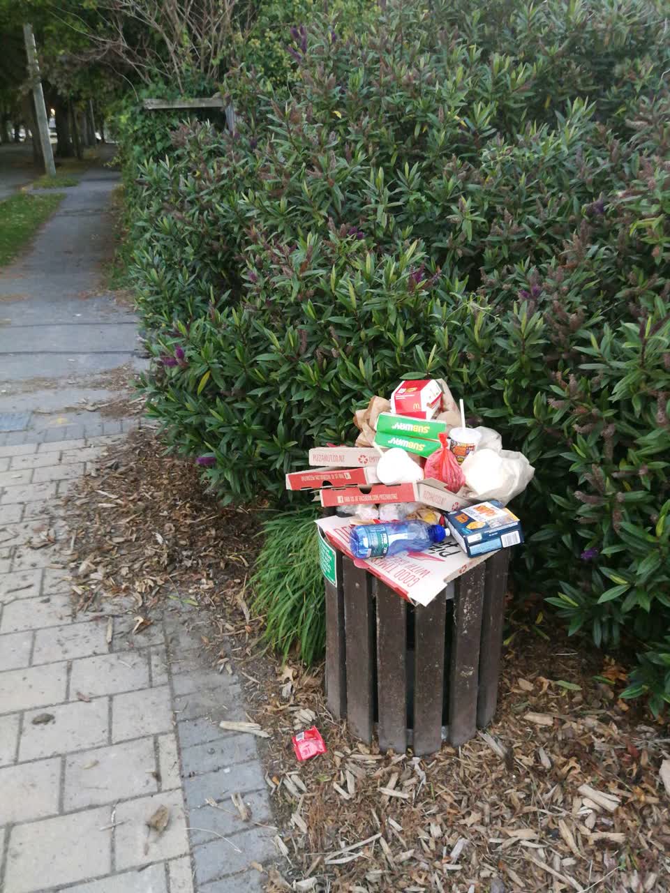 The photograph attached to this parks report
