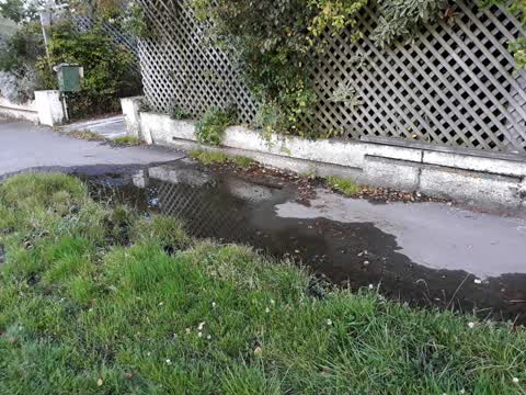 Water Supply, a report photo