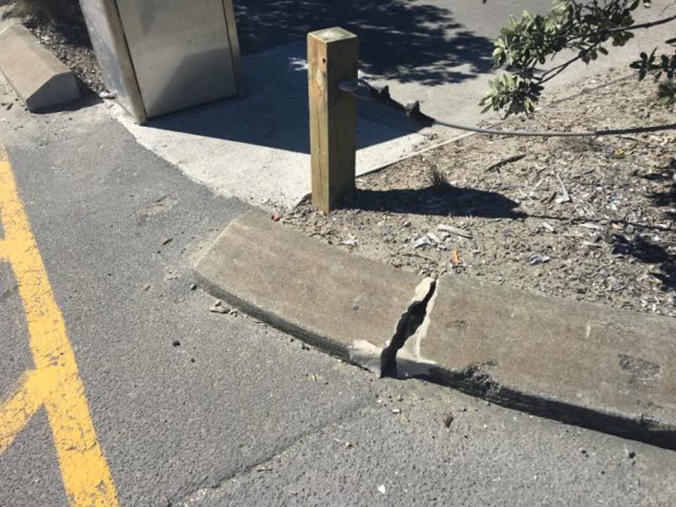 The photograph attached to this parks report