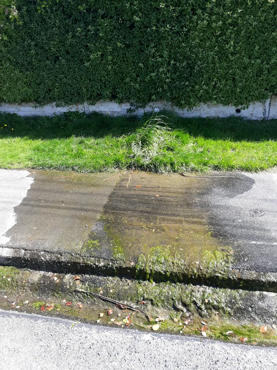 The photograph attached to this water supply report