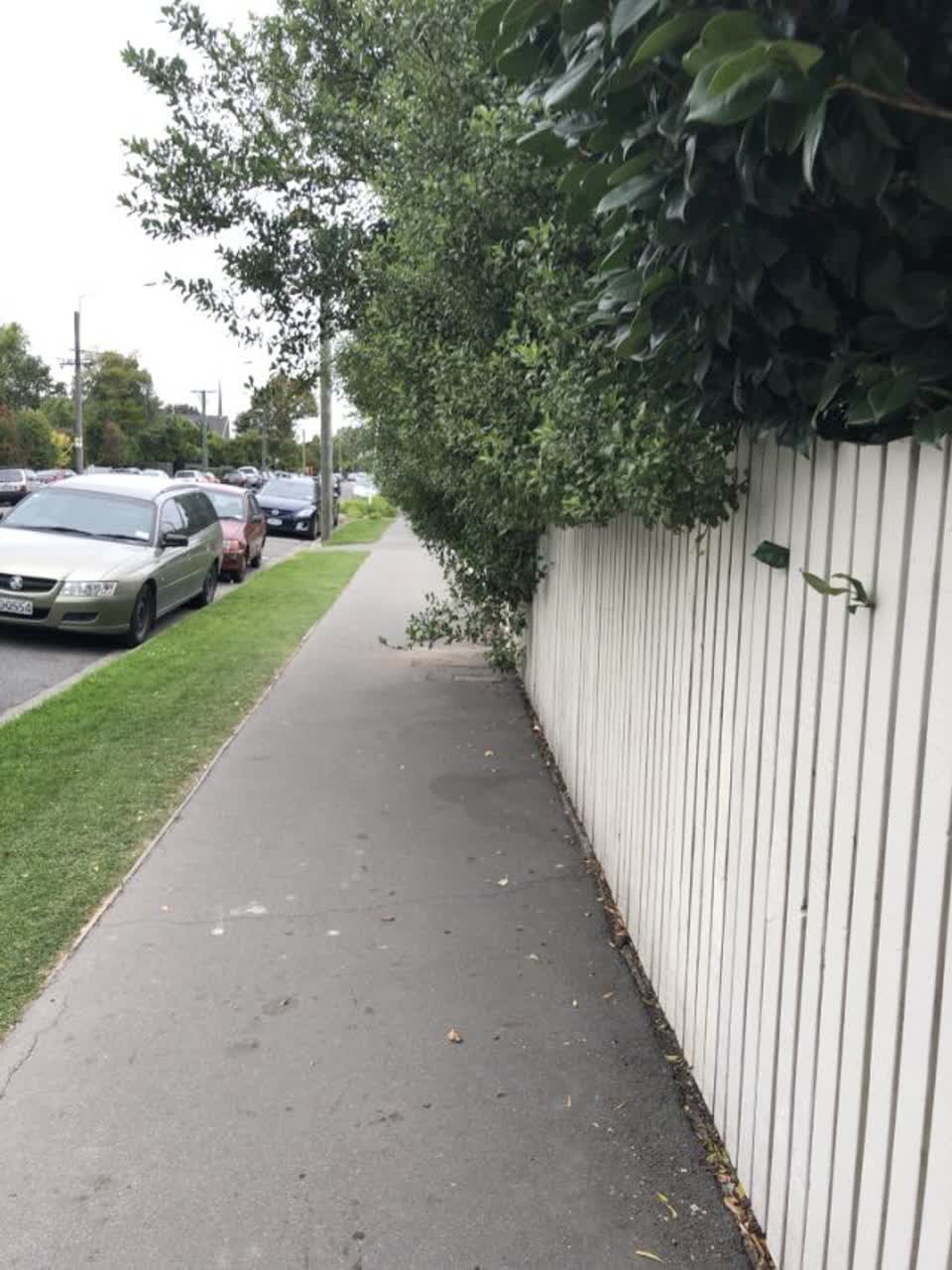 The photograph attached to this roading/streets report