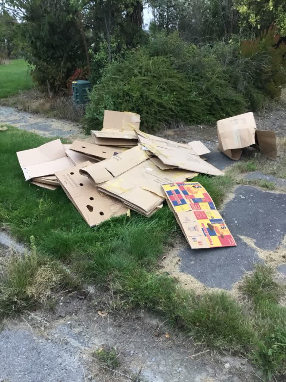 The photograph attached to this rubbish/recycling report