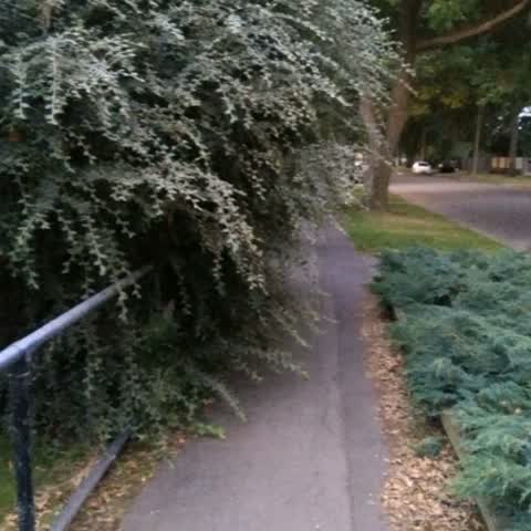 Roading/Streets, a report photo