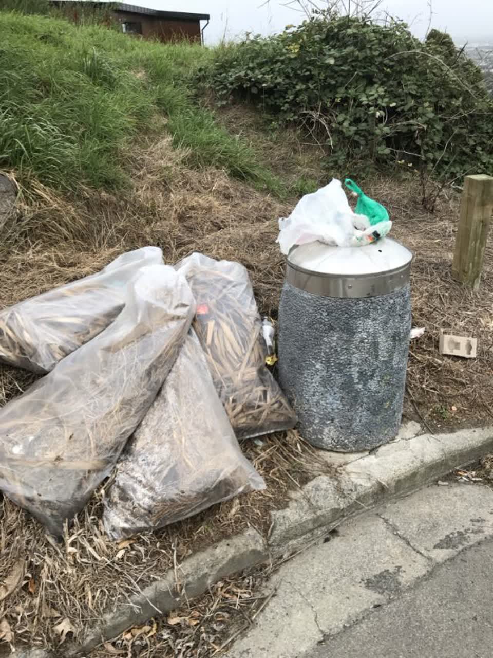 The photograph attached to this rubbish/recycling report