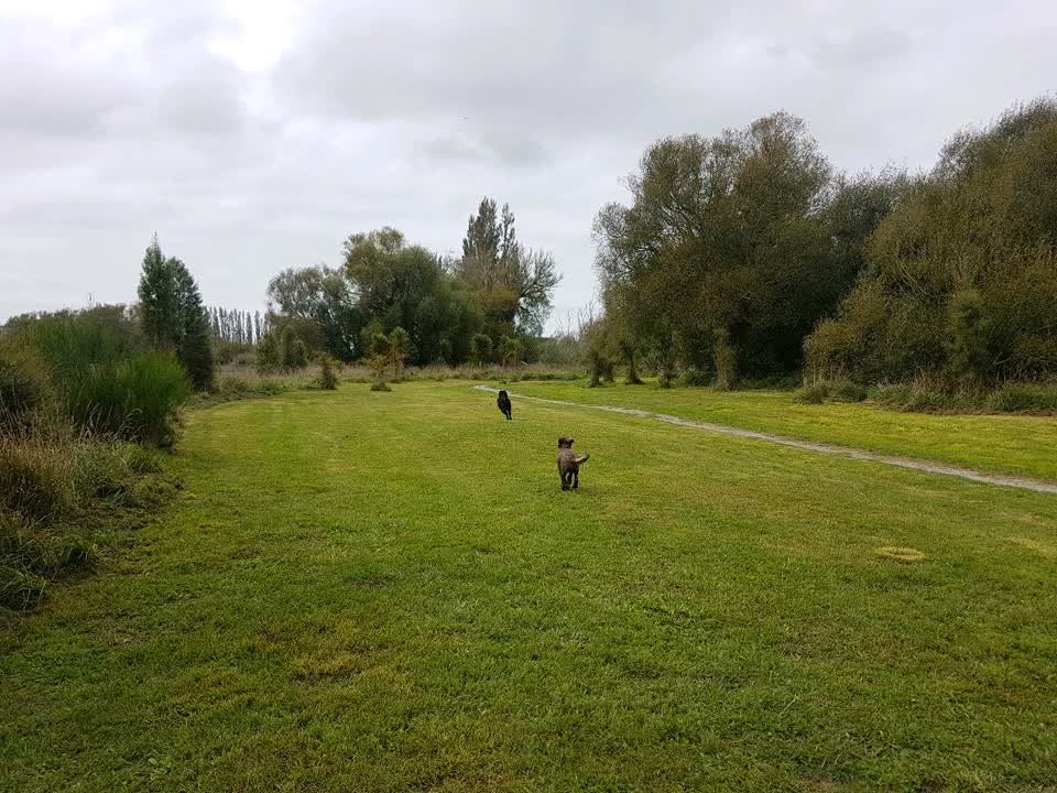 The photograph attached to this parks report