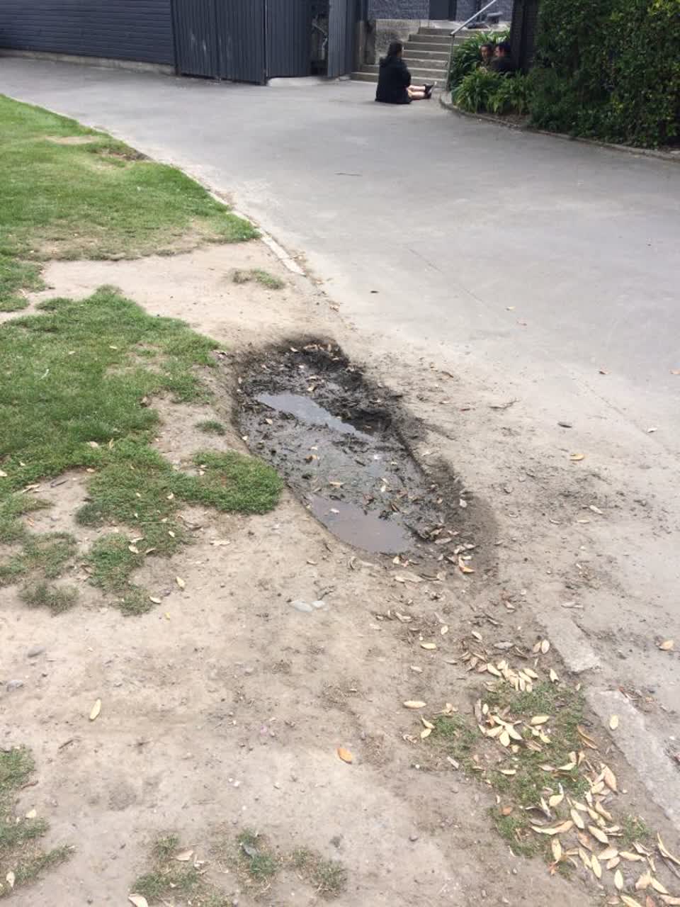 The photograph attached to this parks report