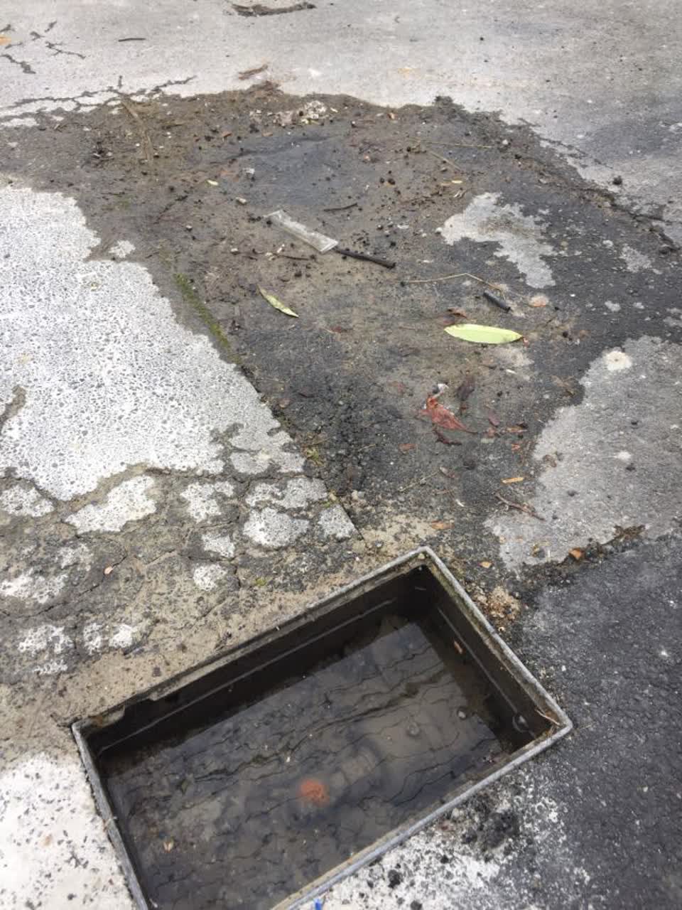 The photograph attached to this water supply report