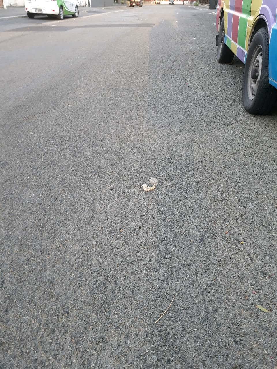 The photograph attached to this rubbish/recycling report